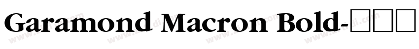 Garamond Macron Bold字体转换